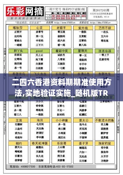 二四六香港资料期期准使用方法,实地验证实施_随机版TRY19.28