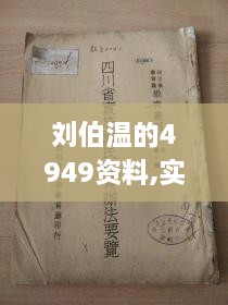 刘伯温的4949资料,实地应用实践解读_目击版WBS19.16