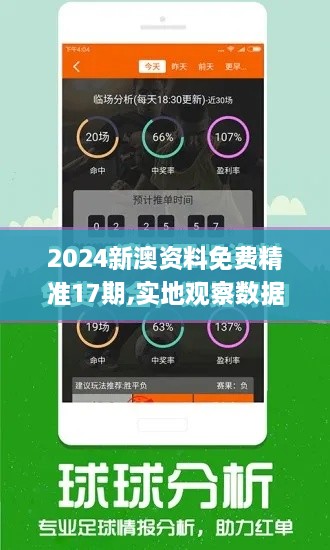 2024新澳资料免费精准17期,实地观察数据设计_性能版RIZ19.22