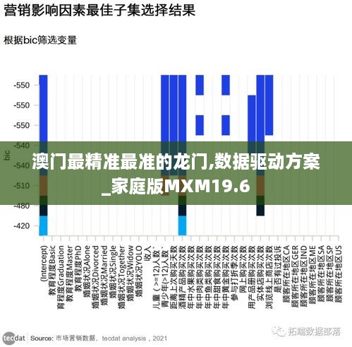 澳门最精准最准的龙门,数据驱动方案_家庭版MXM19.6