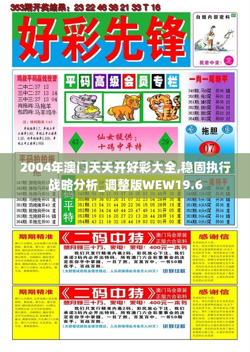 2004年澳门天天开好彩大全,稳固执行战略分析_调整版WEW19.6