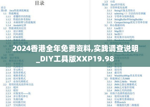 2024香港全年免费资料,实践调查说明_DIY工具版XXP19.98