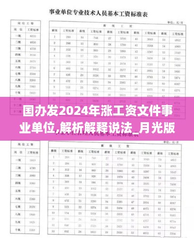 国办发2024年涨工资文件事业单位,解析解释说法_月光版YYI19.86