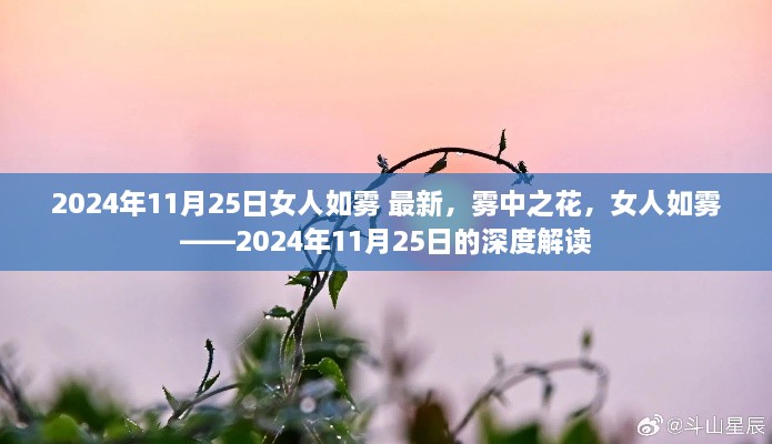 雾中之花，深度解读女人如雾的2024年11月25日