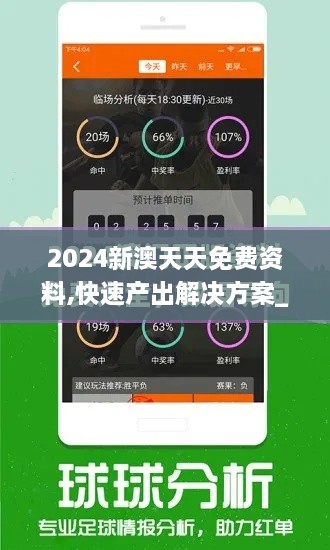 2024新澳天天免费资料,快速产出解决方案_跨界版ROU19.19