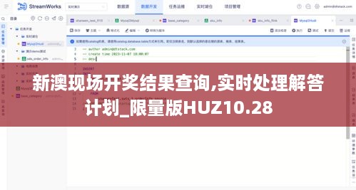 新澳现场开奖结果查询,实时处理解答计划_限量版HUZ10.28