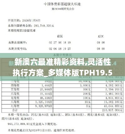 新澳六最准精彩资料,灵活性执行方案_多媒体版TPH19.53