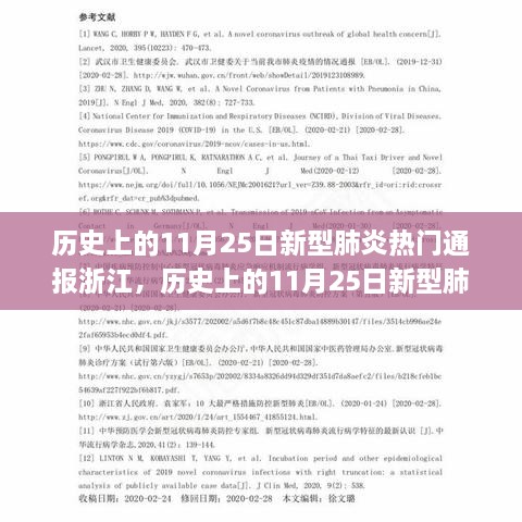 浙江新型肺炎疫情通报，历史上的11月25日全面解析与应对流程揭秘