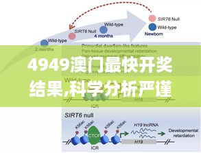 关于我们 第520页