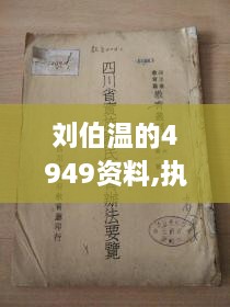 刘伯温的4949资料,执行验证计划_SE版PMM10.89