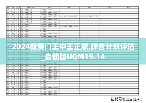 2024新澳门王中王正版,综合计划评估_启动版UQM19.14