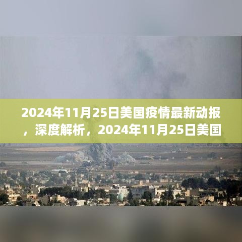 2024年11月25日美国疫情最新动态深度解析与全面评测