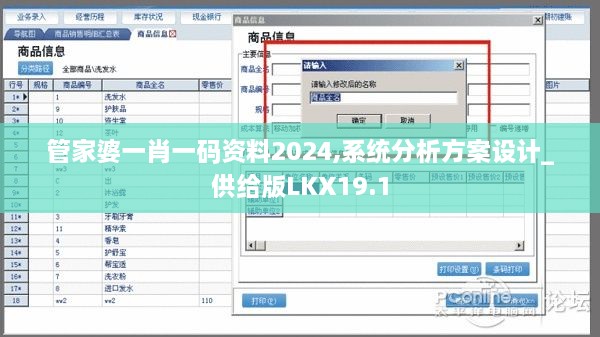 管家婆一肖一码资料2024,系统分析方案设计_供给版LKX19.1