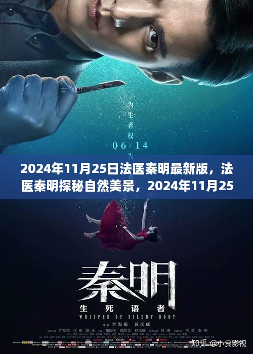 法医秦明最新版，探秘自然美景，启程寻找内心平静之旅（2024年11月25日）