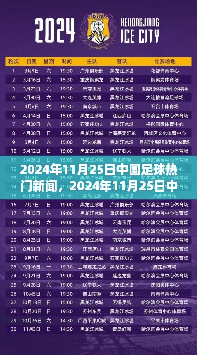 2024年11月25日中国足球热门新闻一览，如何跟进并了解最新动态