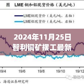 2024年智利铜矿摆工最新动态与应对策略全面指南