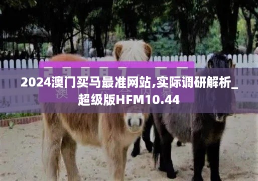 2024澳门买马最准网站,实际调研解析_超级版HFM10.44