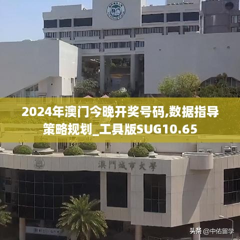 2024年澳门今晚开奖号码,数据指导策略规划_工具版SUG10.65