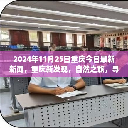 重庆新发现，自然之旅探寻内心宁静与微笑的秘密，今日最新新闻（2024年11月25日）