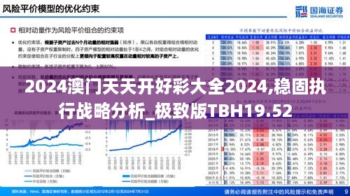 2024澳门天天开好彩大全2024,稳固执行战略分析_极致版TBH19.52