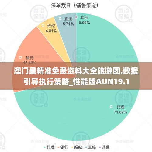 澳门最精准免费资料大全旅游团,数据引导执行策略_性能版AUN19.1