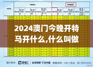 2024澳门今晚开特马开什么,什么叫做决策资料_投资版KLU10.33