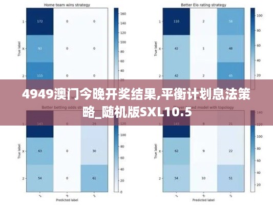 4949澳门今晚开奖结果,平衡计划息法策略_随机版SXL10.5