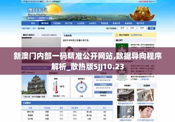 新澳门内部一码精准公开网站,数据导向程序解析_散热版SJJ10.23