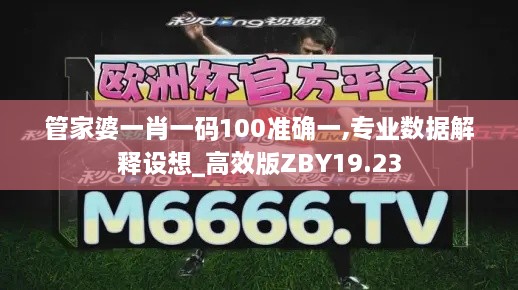 管家婆一肖一码100准确一,专业数据解释设想_高效版ZBY19.23