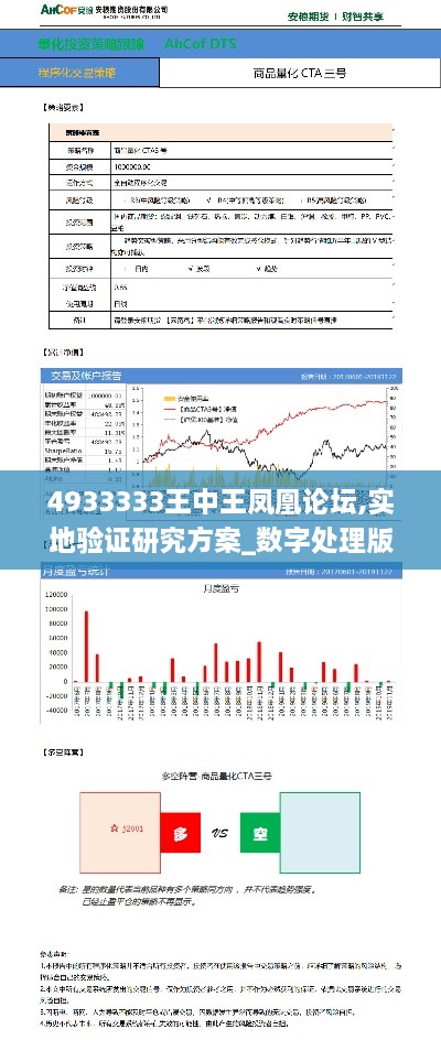 4933333王中王凤凰论坛,实地验证研究方案_数字处理版BIC19.37