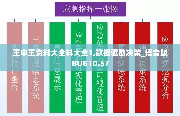 王中王资料大全料大全1,数据驱动决策_语音版BUG10.57