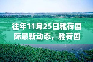 往年11月25日雅荷国际最新动态，雅荷国际最新动态获取指南，如何轻松掌握往年11月25日动态信息（初学者与进阶用户适用）