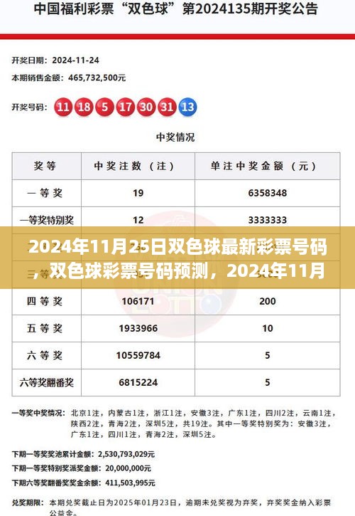 2024年11月25日双色球彩票号码预测与神秘数字探讨