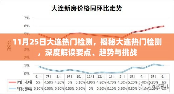 揭秘大连热门检测，深度解读要点、趋势与挑战及挑战分析（最新）