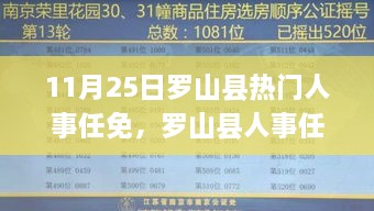 罗山县人事任免大解密，11月25日变动详解与操作指南