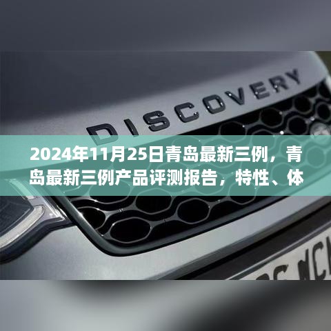 青岛最新三例产品评测报告，特性、体验、竞品对比及用户群体深度分析（附日期，2024年11月版）