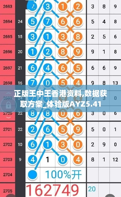 正版王中王香港资料,数据获取方案_体验版AYZ5.41