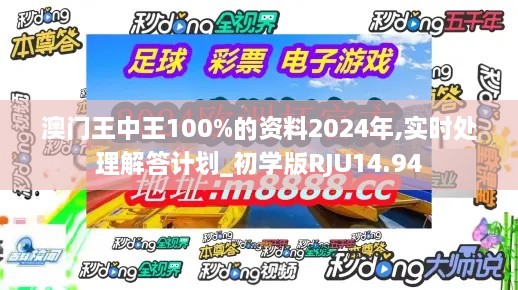 澳门王中王100%的资料2024年,实时处理解答计划_初学版RJU14.94