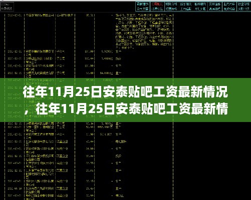 往年11月25日安泰贴吧工资最新动态，全面评测与详细介绍