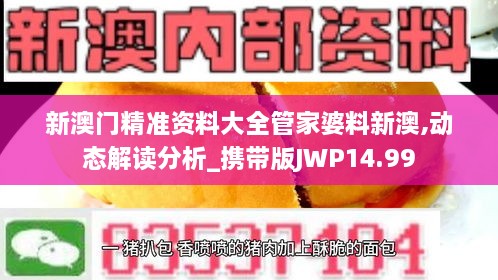 新澳门精准资料大全管家婆料新澳,动态解读分析_携带版JWP14.99