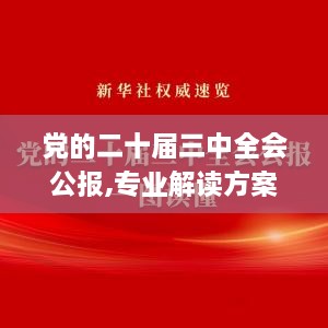 党的二十届三中全会公报,专业解读方案实施_零障碍版MKF14.14