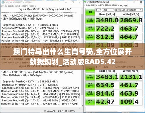 澳门特马出什么生肖号码,全方位展开数据规划_活动版BAD5.42