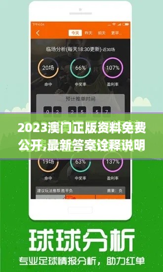 2023澳门正版资料免费公开,最新答案诠释说明_颠覆版MEG14.44