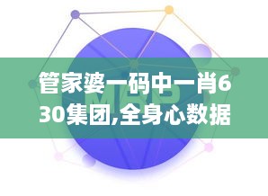 管家婆一码中一肖630集团,全身心数据指导枕_悬浮版SIL14.64