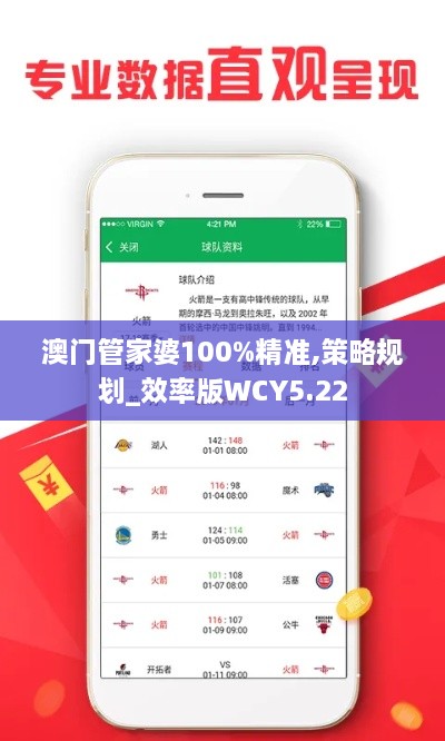 澳门管家婆100%精准,策略规划_效率版WCY5.22