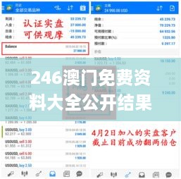 246澳门免费资料大全公开结果,精准解答方案详解_商务版YYV14.34