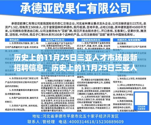 历史上的11月25日三亚人才市场最新招聘信息解析及求职攻略指南