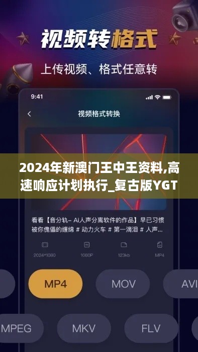 2024年新澳门王中王资料,高速响应计划执行_复古版YGT5.59