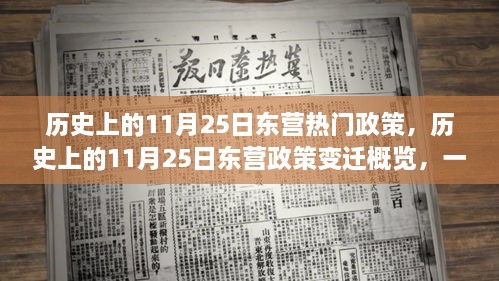 历史上的11月25日东营政策变迁深度解析，政策制定与执行流程一览