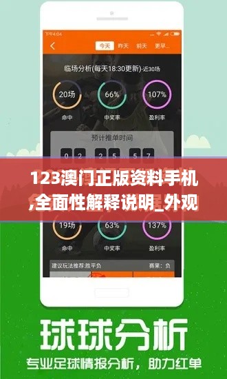 123澳门正版资料手机,全面性解释说明_外观版DCR14.97